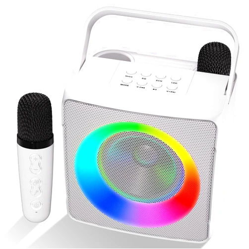 Verkstar Karaoke Machine, Portable Bluetooth Karaoke Speaker for Kids Adults, Unique Singing Machine with Two Wireless Microphones Storage Hole, Ideal Gifts for Girls Boys