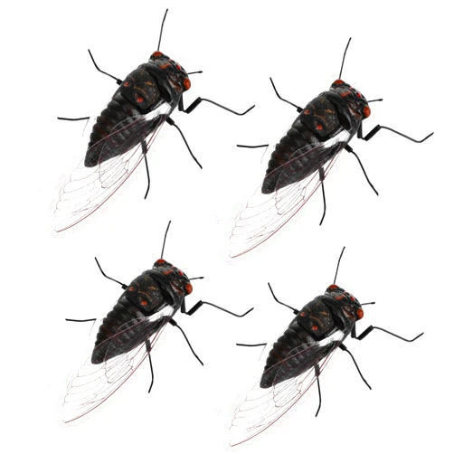 Abaodam 4pcs Cicada Model Early Educational Toys Realistic Animal Figures Cicada Figurines Insect Toy Educational Cicada Toy Plastic Model Toys for 15+ （Random Color Cicada Model）
