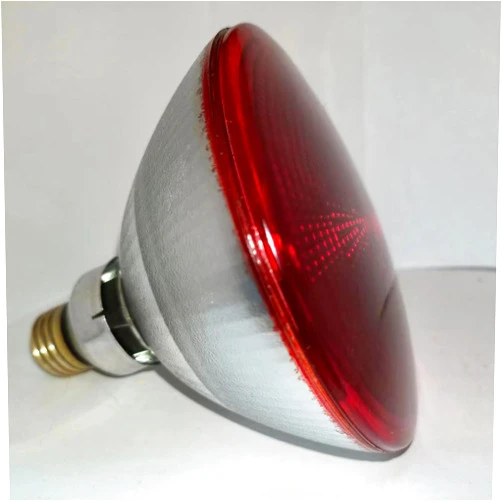 EdisonPar Red Heat Lamp Infrared Light for Reptiles Tanks, Chickens, Food Service, Brooder Bulb, Pet, Bathroom, Light Therapy, 100-Watt, 6-Pack