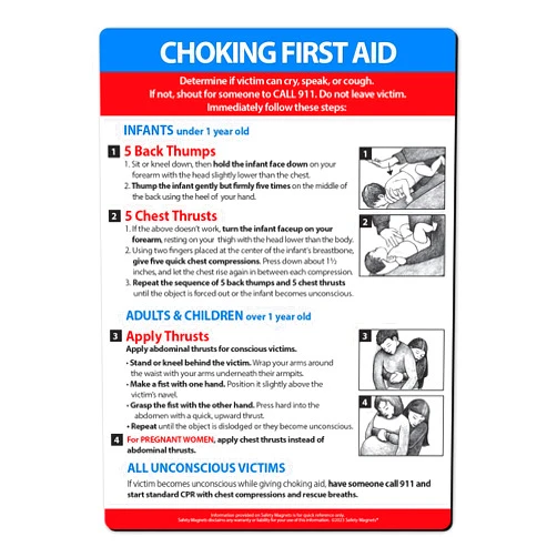 Safety Magnets by ZOCO – Choking First Aid Magnet – Heimlich Maneuver Instructions for Infant, Child, and Adult – 5