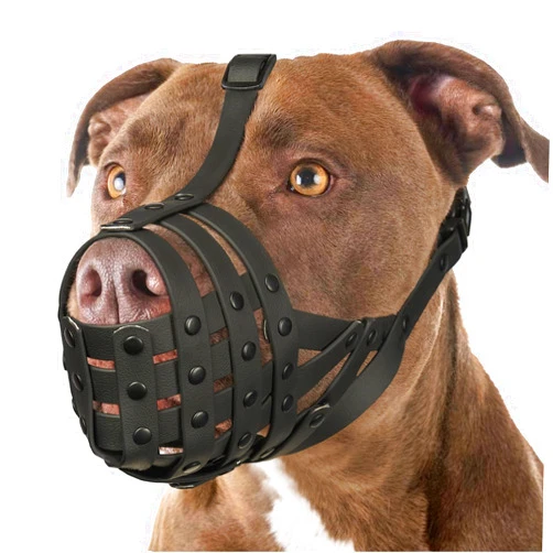Mayerzon Pitbull Muzzle for Large Medium Sized Dogs to Prevent Biting Scavenging, Basket Muzzle for Rottweiler Staffordshire Terrier in Grooming Training, Allow to Pant Drink, Lightweight and Sturdy