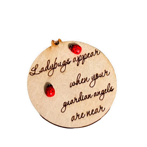 Handmade Lady Bugs Appear When Your Guardian Angels are Near. Grief and Healing Ornament or Decoration to Remind us of Those Loved and Lost