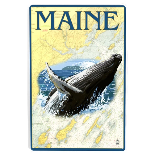 Lantern Press 12x18 Inch Metal Sign, Maine, Humpback Whale and Nautical Chart
