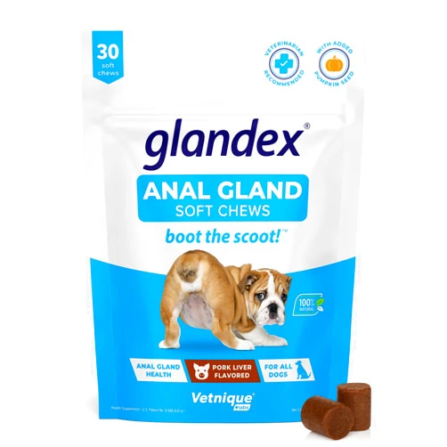 Vetnique Labs Glandex Anal Gland Soft Chew Treats with Pumpkin for Dogs Digestive Enzymes, Probiotics Fiber Supplement for Dogs Boot The Scoot (Pork Liver Chews, 30 Count)