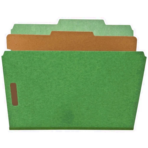 Nature Saver NATSP17203 1-Divider Recycled Classification Folders