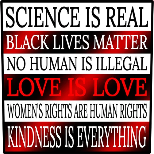 Salt Water Johnny's Kindness is Everything Bumper-Sticker - Love-is-Love Human Rights Vinyl Decal 3 X 3