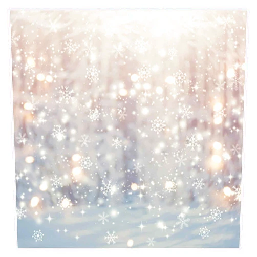 Allenjoy 6 x 6 FT Winter Wonderland Photography Backdrop Christmas Glitter Bokeh Snowflakes Background for Kids Children Newborn Baby Shower Birthday Party Decor Banner Portrait Photo Booth Props
