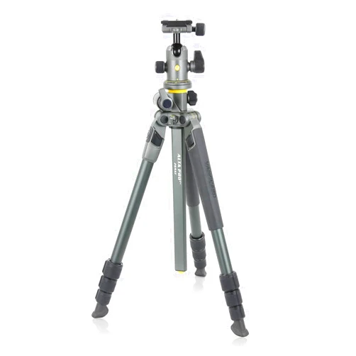 Vanguard ALTA PRO 2+ 264AB 4-Section Aluminum Tripod with BH-100 Ball Head, Gray