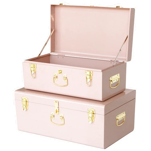 Vixdonos Decorative Metal Box Storage Trunks Set of 2 College Dorm Chest with Handle (Pink)