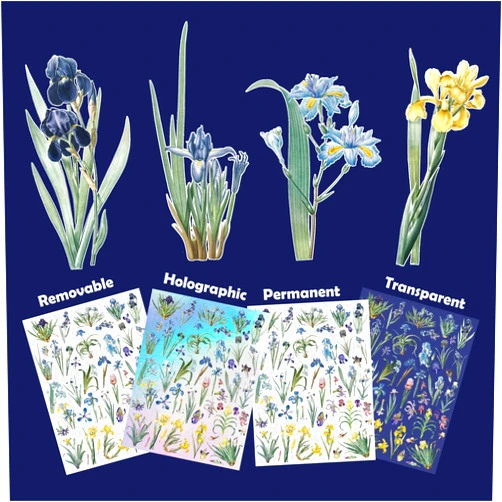 Flonz Stickers Pack (Over 150 Stickers) Captivating Irises: Diverse Assembly of Iris Varieties in a Splendid Floral Sticker Set ~ Removable White Vinyl Hologram Transparent