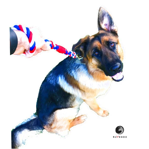 Ravenox Traffic Handle Short Dog Leash | Strong, Comfortable Cotton Rope Dog Leash for Pets |(Black)(16-inches Long)| Handmade in The USA with 100% American Made Rope | for Small, Medium, Large Dogs