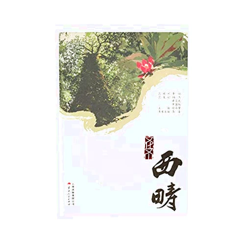 Chinese Edition by GAO JIAN (Author) Culture Wenshan - Xichou(Chinese Edition)