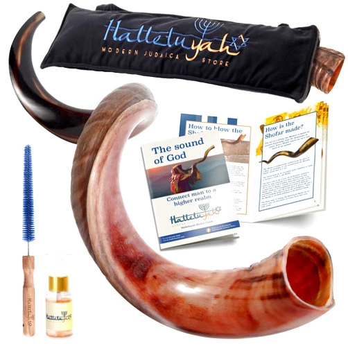HalleluYAH Original Kosher Half-Polished Kudu Shofar From Israel