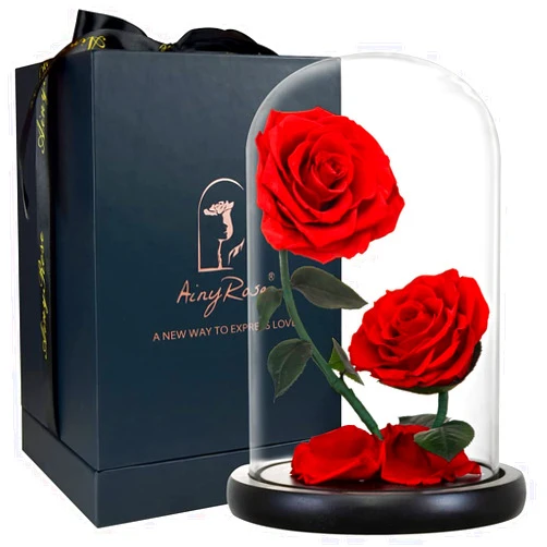 AINYROSE Gifts for Women Forever Preserved Red Rose,Birthday Valentines Day Gift with Red Eternal Flower in Glass Dome,Gifts for Valentine's Day Mothers Day Christmas Anniversary Birthday (#red)