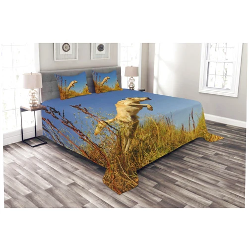 Ambesonne Hunting Bedspread Set, Purebred Labrador Retriever Jumping in a Field Blue Sky Rural Outdoors Photograph, 3 Piece Decorative Bedding Coverlet and 2 Pillow Shams, Queen Size, Multicolor