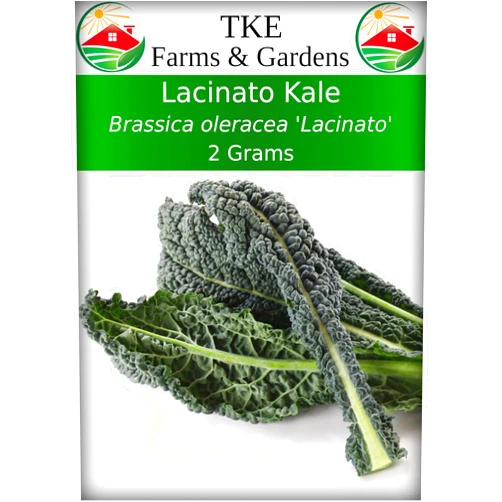 TKE Farms & Gardens - Lacinato Kale Seeds for Planting, 2 Grams, 500+ Heirloom Non-GMO Seeds - Dinosaur Kale, Tuscan Kale, Cold Hardy Superfood for Traditional & Urban Gardens