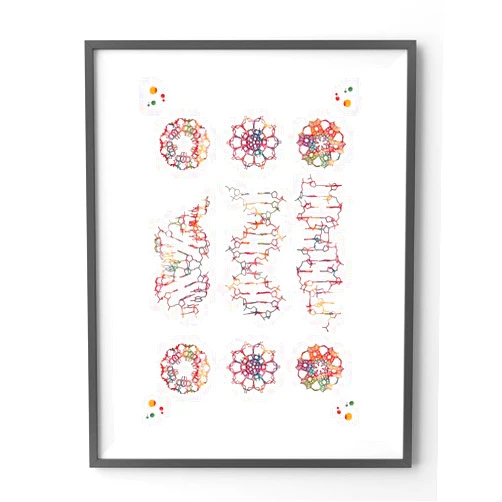 Custom Print Art DNA Science Art Genetics Wall Art DNA helix conformation watercolor A-form B-form and Z-form of DNA, DNA Science Art Photo,212