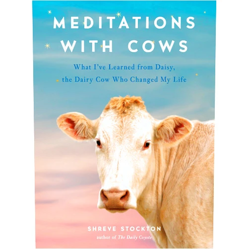 By Shreve Stockton (Author) Meditations with Cows: What I've Learned from Daisy, the Dairy Cow Who Changed My Life