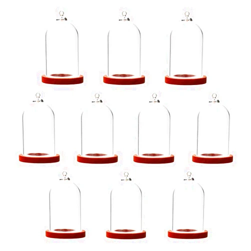 ZenRa 10-Piece Glass Dome Pendant Set with Wooden Base and Hollow Glass Cabochons (Red Coffee, 38x25mm)