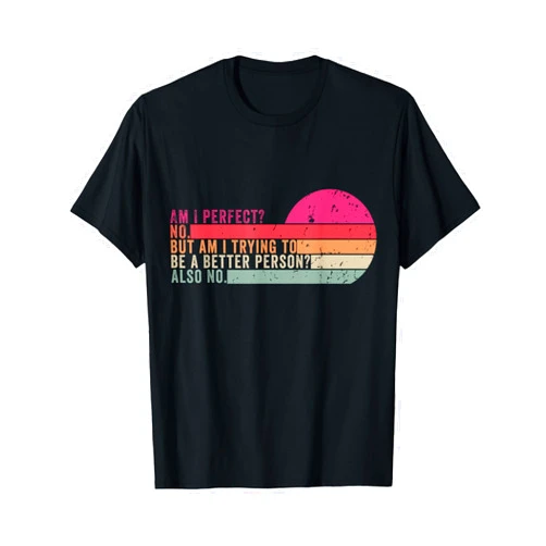 Vintage Am I Perfect No Am I Perfect? No. Am I Trying To Be A Better Person? Also No T-Shirt