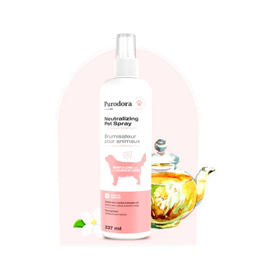 Purodora Lab Deodorizing Between-Bath Dog Odor Neutralizer Spray for Shaggy Coats | All-Natural, Organic, and Non Irritant Odor Neutralizer for No-Rinse Grooming (8oz – White Tea Scent)