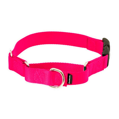 PetSafe Martingale Dog Collar with Quick-Snap Buckle - Medium, 1 Inch, Raspberry