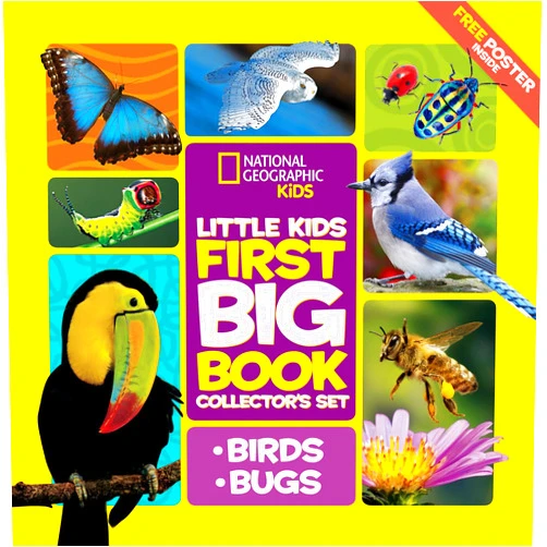Catherine D. Hughes National Geographic Little Kids First Big Book Collector's Set: Birds and Bugs