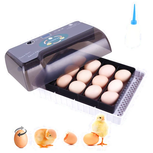 SUNCOO Mini Digital Fully Eggs Incubator 12 Eggs for Hatching Chicken Duck Turkey Goose Quail Eggs Poultry with Automatic Egg Turning Turner Egg Candler Small Egg Hatcher Machine