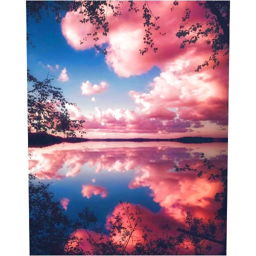 Arte Vita Paint by Numbers for Adults - DIY Canvas Painting Kit - Pre-Printed Art-Quality Drawing Paintwork with 4 Paintbrushes - Summer Pink Sky Design 16”x20” Rolled Canvas Gift Decor