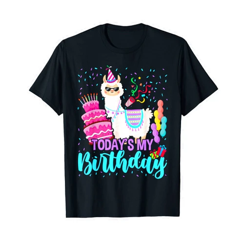 Llama Birthday Lover Gift Co. Todays My Birthday Llama Boy Family Party Decorations T-Shirt