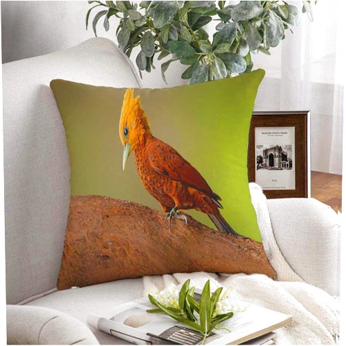 Starodec Decorative Throw Pillow Cover Mossy Chestnutcoloured Woodpecker South Celeus Castaneus Acorn Brawn Bird Nature Design Species Cute Soft Cushion Cover Case for Couch Bedroom Car 18x18 Inch