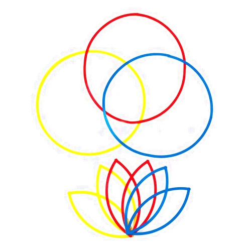 hand2mind 5715 Attribute Sorting Circles, Set of 6