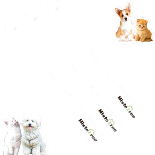 JGocot Small Dog Toothbrush,Cat Toothbrush|Mini Head|Micro Nano Bristle|Ultra Soft Pet Toothbrush for Sensitive Gum, Dog Dental Care Kit for Puppy,Kitten,Cats&Small Breed Dogs(3Pack)