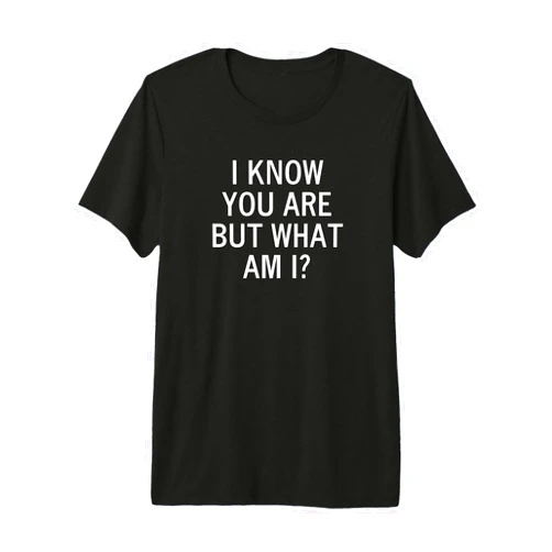 Fun Quotes, Rude Sayings, Gift Ideas for Holidays Funny, I Know You are But What Am I, Joke Sarcastic Family Premium Tri-Blend T-Shirt