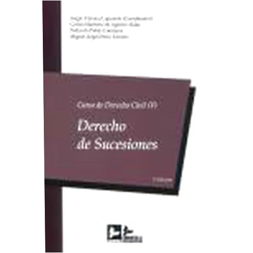 Spanish Edition by SERGIO CAMARA LAPUENTE (Author, Collaborator), CARLOS MARTINEZ DE AGUIRRE ALDAZ (Author), PEDRO DE PABLO CONTRERAS (Author), MIGUEL ANGEL PEREZ ALVAREZ (Author) & 2 more DERECHO CIVIL V: DERECHO DE SUCESIONES