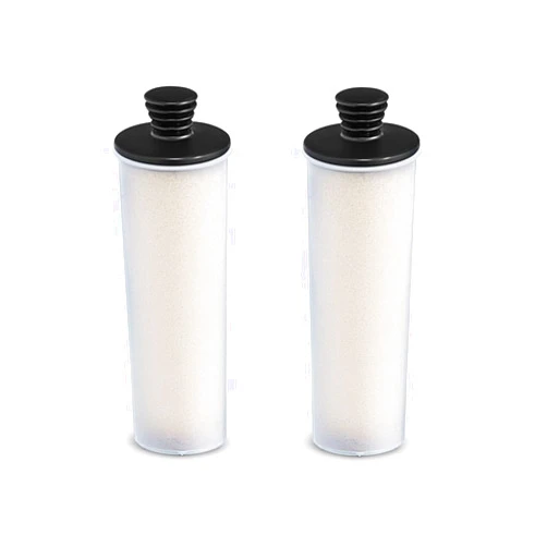 RAYPUR Clean Water Descaling Filter Premium Upright 2 PCS Steam Cleaner Water Purifier Descaling Cartridge ，Compatible for Karcher SC2 SC3