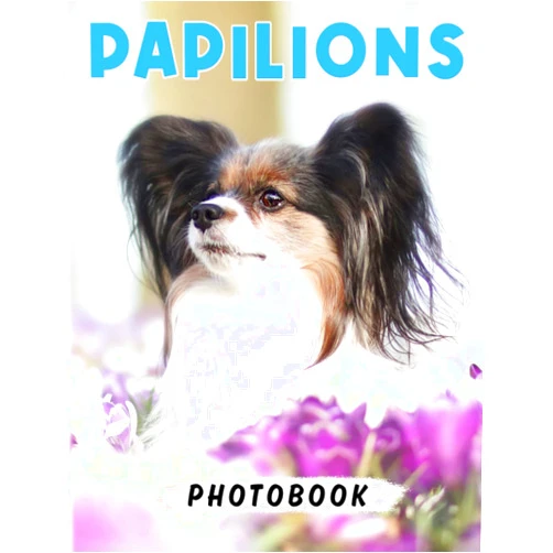 By Robert Howard (Author), Howard (Author) Papilions Photo Book: Toy Dog of Singular Beauty for Women, Girls and Anyone to Love | With 40+ Pages High Quality Pictures for Relaxation