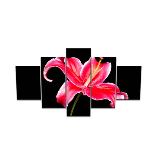 UVRKQYOSGKB Large Canvas Print 5 Panels Art Wall Paintings Stargazer Lily Magenta Single Flower Close up Isolated on Black Stretched Framed Wall Poster Picture on Canvas Home Decor - 60x32 Inch Total