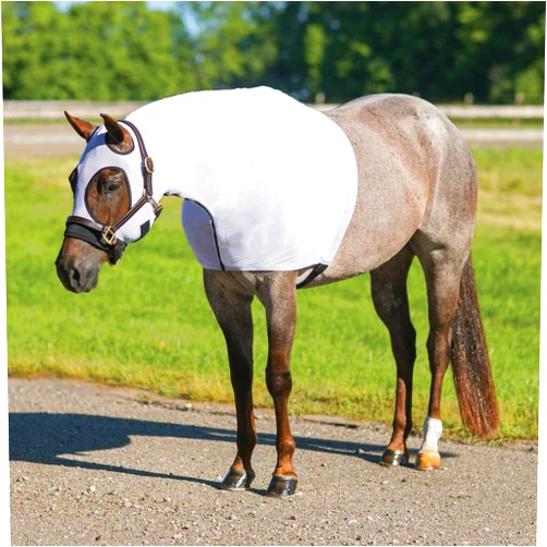 UltraFlex Horse Sleazy Slickers |Protection Horse Slinky | Horse Sleazy Dirt & Dust Defense | Sleezy for Horses Needs