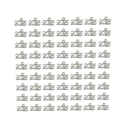 WiYould 2025 Charms Jewelry Making Kit Mini Alloy 2025 Letter Beads for New Years Eve Gift Jewelry Making Graduation Tassel DIY, 100pcs (Silver)