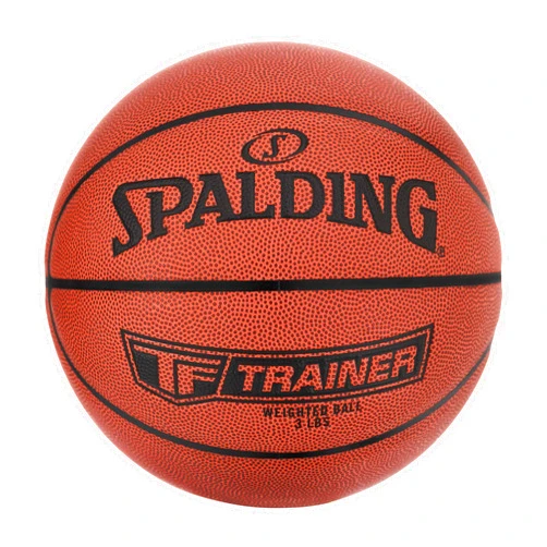 Spalding TF-Trainer Indoor Basketball