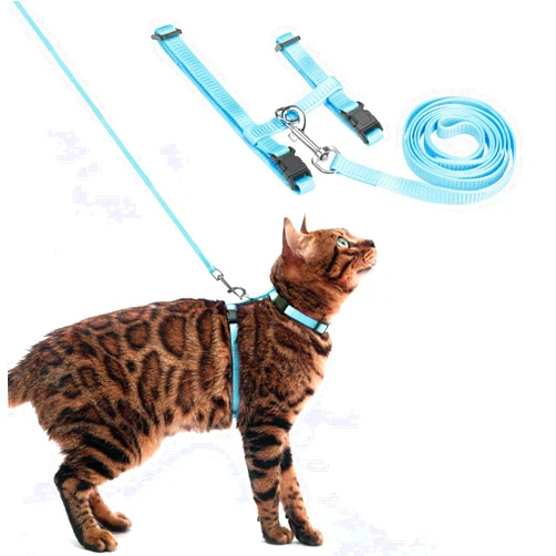 PUPTECK Adjustable Cat Harness and Leash Set Escape Proof Kitten Strap Collar for Walking Travel, SkyBlue