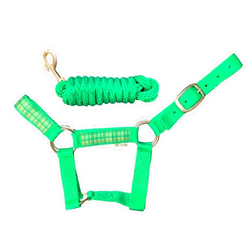 HalterUp Miniature Horse Halters and Lead Ropes (2 Item Bundle) Available in 10 Colors (Green, Medium)