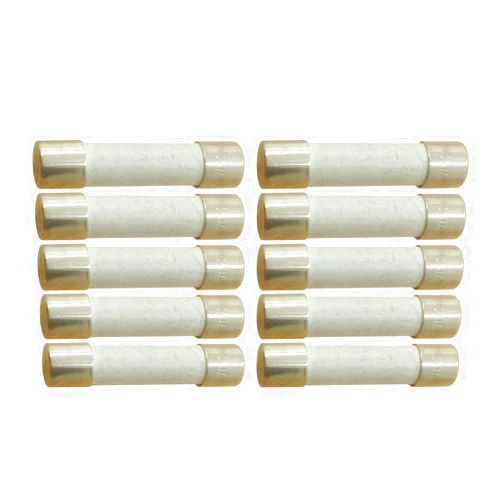 YOLISTIC 10 Amp Slow-Blow Time Delay Fuse Ceramic 6.35x31.75mm(1/4
