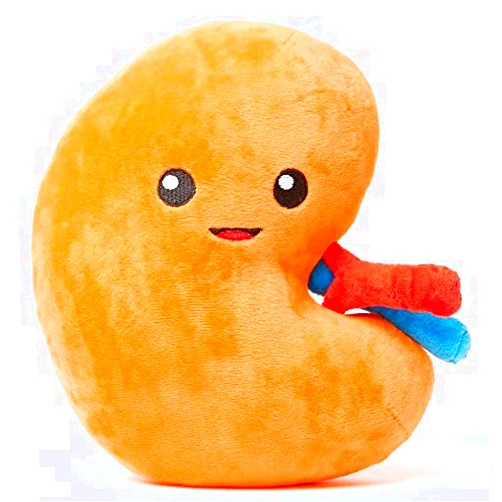 nerdbugs Kidney Plush – Funny Urology Gift, Transplant & Dialysis Recovery Toy, Donor Appreciation, Nephrology Gift for Nurses, Doctors, Med Students, Adults & Kids