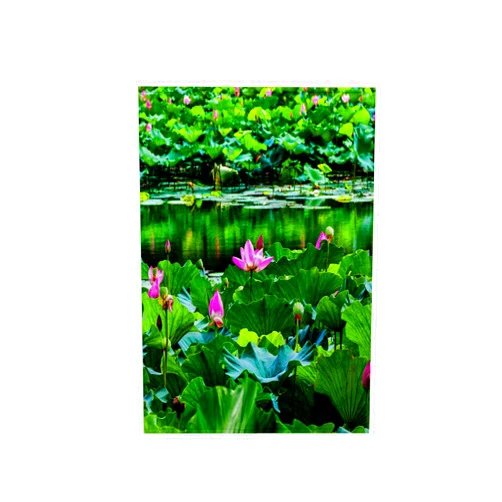 3dRose 15x22 Hand Towel - Pink Lotus Pads in Garden, Summer Palace, Beijing, China Flowers
