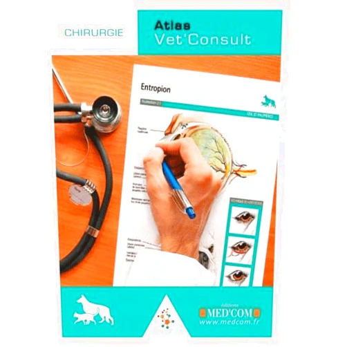 COLLECTIF,Florence Le Sueur-Almosni Chirurgie