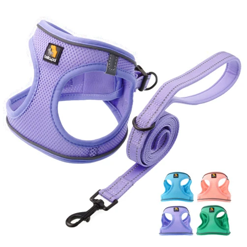 BELLA & PAL Puppy Harness with Leash Set, Dog Harness for Small Dogs No Pull, Dog Leash for Small Dogs, Step in Harness for Extra Small Dogs, Purple Lavender Harness, XS
