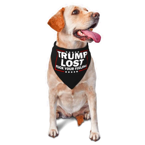 Rqwaaed Trump Lost 2020 Fuck Your Feeling Triangle Dog Bandana Scarf Accessories for Pet Bibs