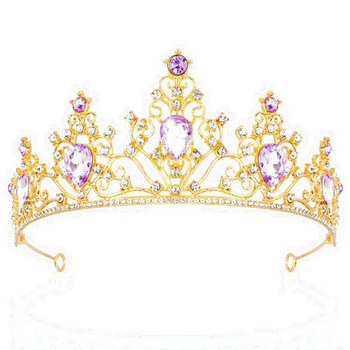 AHONEY Purple Gem Gold Tiara and Crown for Women, Crystal Mermaid Rhinestone Princess Tiaras for Rapunzel Crown for Wedding Birthday Prom Halloween Party